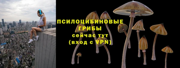 mdpv Елизово