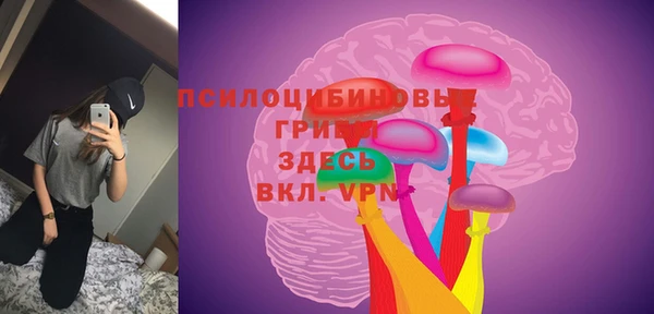 а пвп мука Елабуга