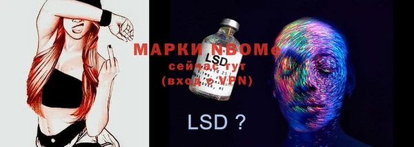 mdpv Елизово