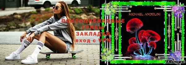 а пвп мука Ельня