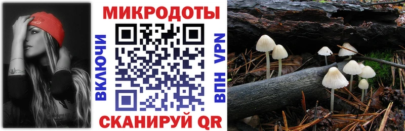 Псилоцибиновые грибы Psilocybine cubensis  Купить где  Щучье 